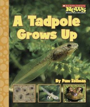 A Tadpole Grows Up (Scholastic News Nonfiction Readers) - Book  of the Animal Life Cycles