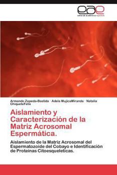 Paperback Aislamiento y Caracterizacion de La Matriz Acrosomal Espermatica. [Spanish] Book
