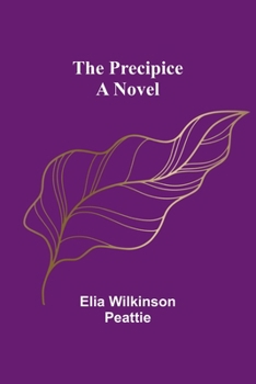 Paperback The Precipice Book