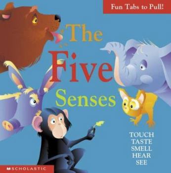 Hardcover The Five Senses Book