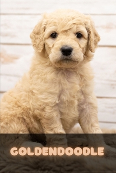 Paperback Goldendoodle: Complete breed guide Book