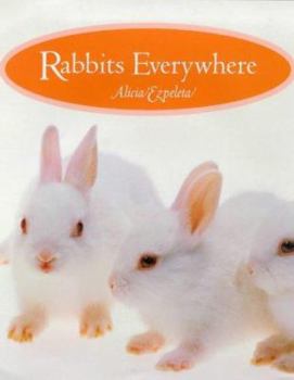 Hardcover Rabbits Everywhere Book