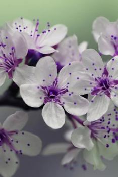 Inmate journal for women: Notebook with inspiring, positive and motivational quotes: Record your thoughts, document your progress: Floral cover