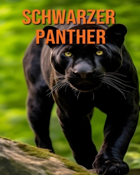 Paperback Schwarzer Panther: Lustige und faszinierende Fakten und Bilder über Schwarzer Panther [German] Book