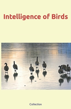 Paperback Intelligence of Birds Book