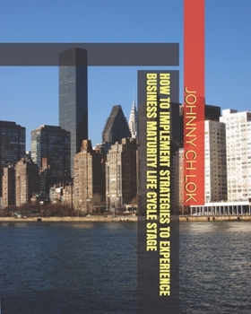 Paperback How to Implement Strategies to Experience Business Maturity Life Cycle Stage Book