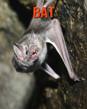 Paperback Bat: Learn About Bat and Enjoy Colorful Pictures Book