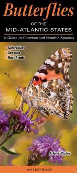 Pamphlet Butterflies of the Mid-Atlantic States: A Guide to Common and Notable Species Book