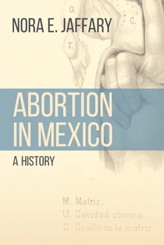 Hardcover Abortion in Mexico: A History Book