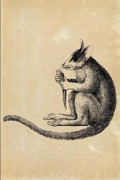 Paperback Senegal bushbaby (Galago senegalensis): Vintage Animal Illustration Lined Notebook and Diary Book