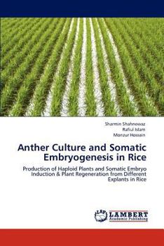 Paperback Anther Culture and Somatic Embryogenesis in Rice Book