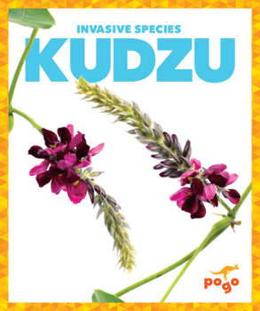 Paperback Kudzu Book