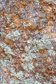 2020 Daily Planner Stone Surface 388 Pages: 2020 Planners Calendars Organizers Datebooks Appointment Books Agendas