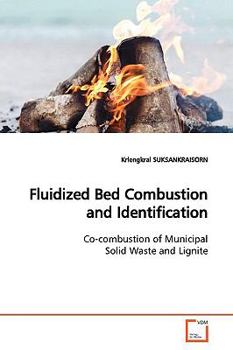 Paperback Fluidized Bed Combustion and Identification Book