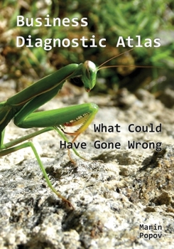 Paperback Business Diagnostic Atlas: What Could Have Gone Wrong Book