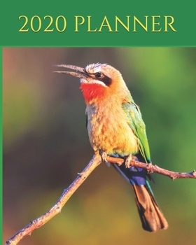 2020 Planner: Bee Eater - Planner Diary - Monthly Calendar - Birds 2020, Ornithology 2020, African Bee Eater, Best Diary, Birds Journal - 8x10