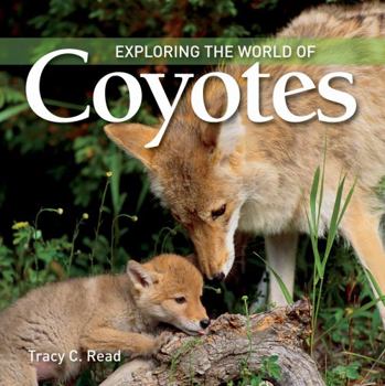 Hardcover Exploring the World of Coyotes Book