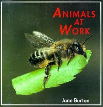 Library Binding Animals at Work, Burton 2-4l Book