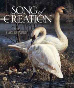 Hardcover Song of Creation Book