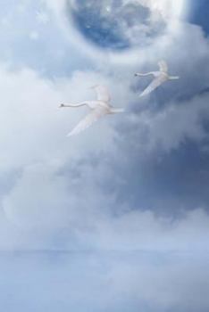 Paperback The Sky And Moon Notebook Book