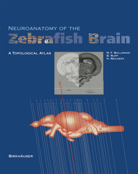 Paperback Neuroanatomy of the Zebrafish Brain: A Topological Atlas Book