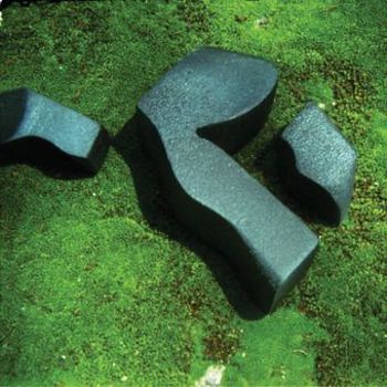 Music - CD Heart Pressed Between Stones Book