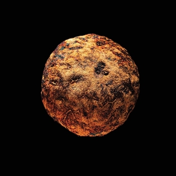 Paperback Seeds and Tales Book