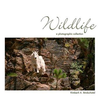 Paperback Wildlife: a photographic collection Book