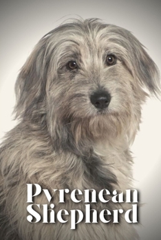 Paperback Pyrenean Shepherd: Dog breed overview and guide Book