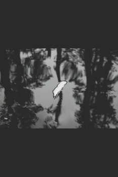 Collected Poetry: Unstructured Reflections 1984 - 2017