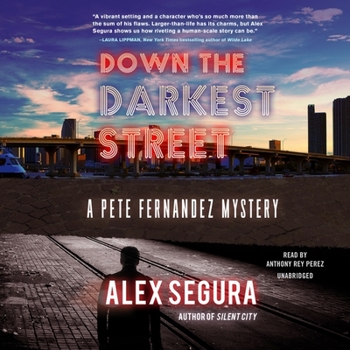 Audio CD Down the Darkest Street: A Pete Fernandez Mystery Book