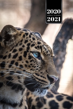 Panther Leopard Cheetah Cougar Week Planner Weekly Organizer Calendar 2020 / 2021 - Blue Eyes: Cute Wildlife Animal Pet Bullet Journal Notebook Diary in 6” x 9” Inch Pocket Size