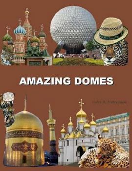 Paperback Amazing Domes Book