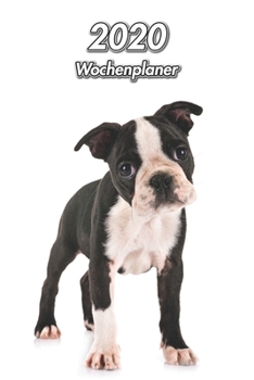 2020 Wochenplaner: Boston Terrier Welpe | 107 Seiten, 15cm x 23cm ca. A5 | Taschenkalender | Terminplaner | Tagebuch | Terminkalender | Organizer für Hundeliebhaber (German Edition)
