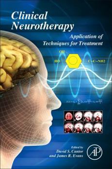 Hardcover Clinical Neurotherapy: Application of Techniques for Treatment Book