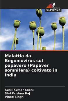 Malattia da Begomovirus sul papavero (Papaver somnifera) coltivato in India
