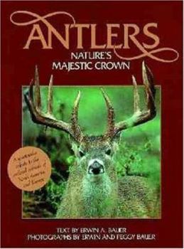 Paperback Antlers Book