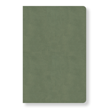Imitation Leather CSB Every Day with Jesus Daily Bible, Sage Leathertouch Book