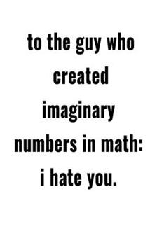 Paperback To the guy who created imaginary numbers in Math: I hate you: Notebook Gift Idea For Finance Worker - 110 Pages (6" x 9") Book