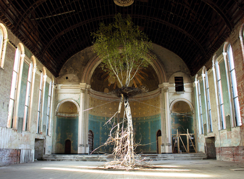 Hardcover Shinji Turner-Yamamoto: Global Tree Project Book