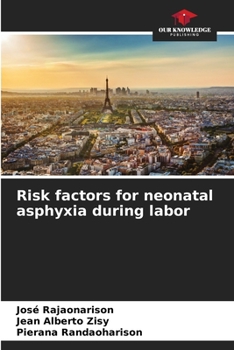 Paperback Risk factors for neonatal asphyxia during labor Book