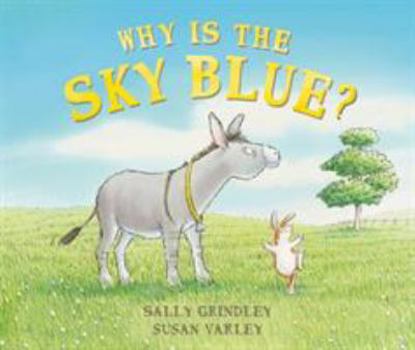 Paperback Why Is the Sky Blue? Book