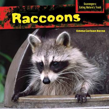 Library Binding Raccoons Book