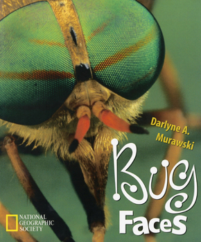 Hardcover Bug Faces Book