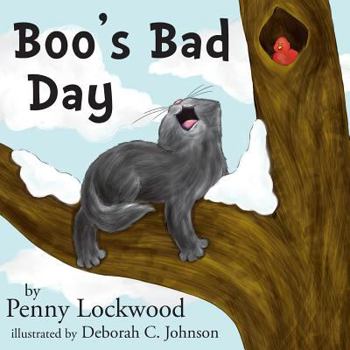 Paperback Boo's Bad Day Book