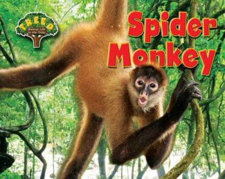 Library Binding Spider Monkey Book