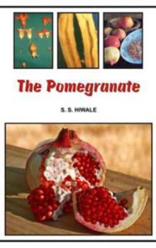 Hardcover The Pomegranate Book