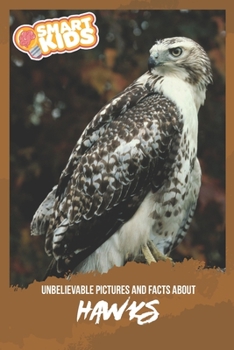 Unbelievable Pictures and Facts About Hawks
