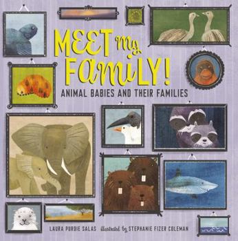 Hardcover Meet My Family!: Animal Babies and Their Families Book