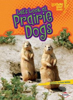 Paperback Let's Look at Prairie Dogs Book